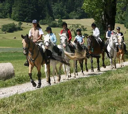 Le Grand Grivier *