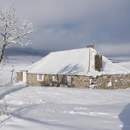 Chalet Le Grand Grivier