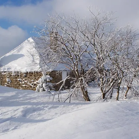 Chalet Le Grand Grivier *